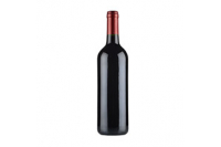 Saint Nicolas de Bourgueil - Vin rouge - 75Cl