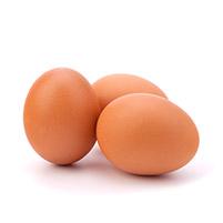 Image 6 œufs plein-air