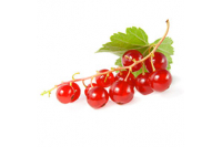 Groseilles 200g