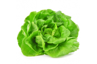 Salade