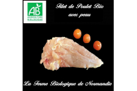 Filet de poulet 