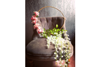 Couronne Rotin glycine