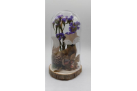 Cloche en verre et son renard en bois