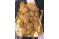Pommes de terre 10kg PROMO DU 5 JUIN