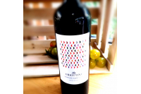 Vin Rouge Domaine Saint Cels 