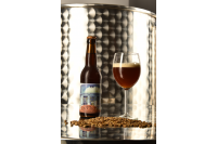 Diogilo Ciné-Club - Brown Ale - Ambrée - 33cl