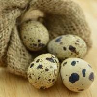 Image ŒUFS DE CAILLE