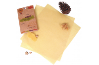 Apifilm Lot 2*L