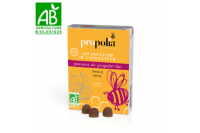 Gommes Bio Propolis Prune-Cerise 