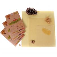 Image Apifilm Pack de 3 lots (3M+2L+1XL)